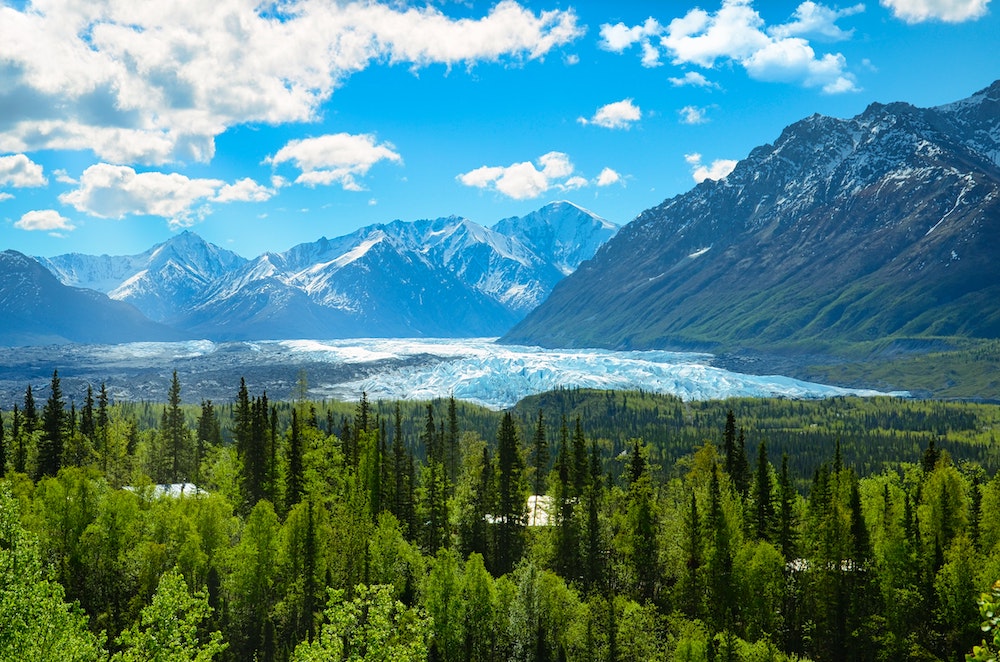 A scenic Alaskan landscape with trees and mountains mirrored in a crystal clear lake.