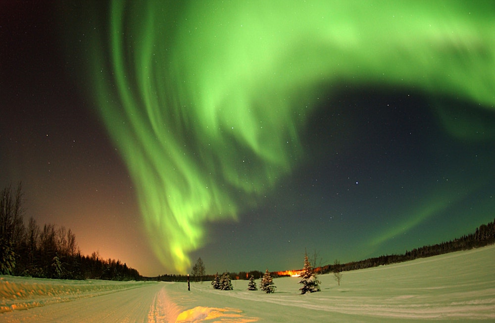 Green northern lights fill the sky above a snowy stretch in Alaska.
